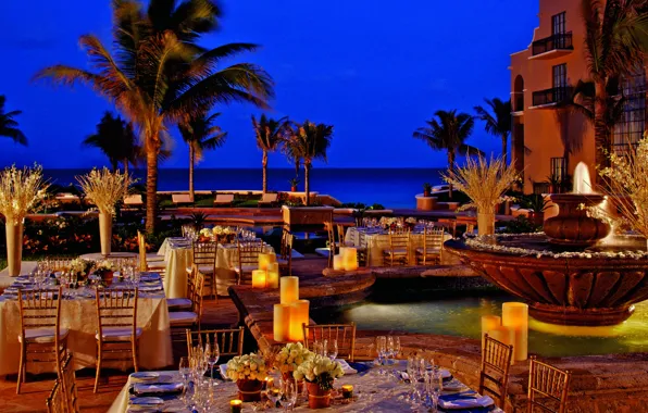 The city, palm trees, the evening, lighting, Mexico, fountain, the hotel, resort