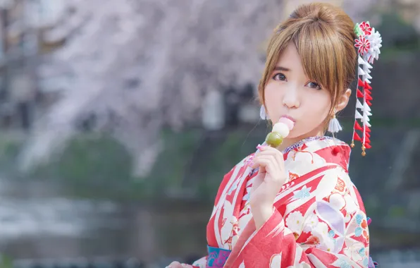 Picture look, Japanese, kimono, Asian, bokeh, Hanami Dango