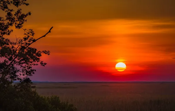 Picture the sun, field, sunset