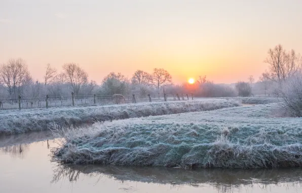 Picture winter, frost, the sun, dawn, morning, pond, Winter morning