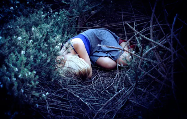 Picture forest, girl, stay, sleep