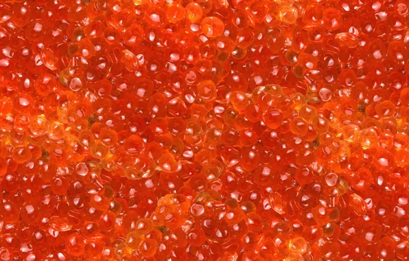 Picture grain, red, caviar, delicious