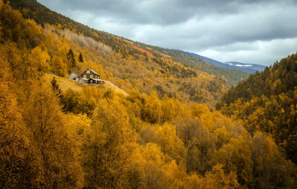 Autumn, forest, mountains, home