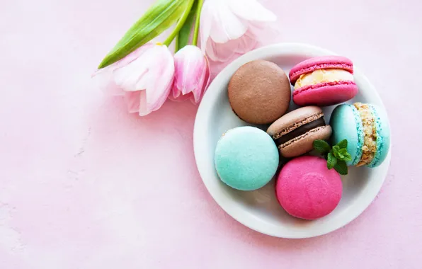 Tulips, macaroon, almond, picene, Olena Rudo