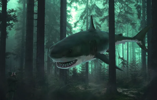 Forest, rendering, fantasy, collage, shark, photographer, hallucination, photoart