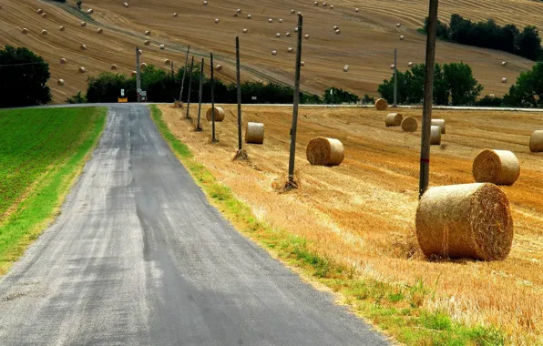 Picture grass, field, landscape, nature, Road, countryside, straw, bales