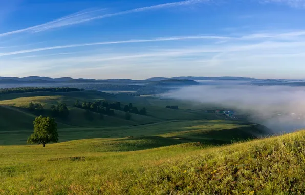 Field, summer, grass, clouds, landscape, mountains, nature, fog