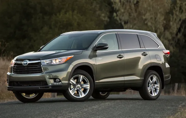 Green, toyota, hybrid, crossover, Highlander, highlander