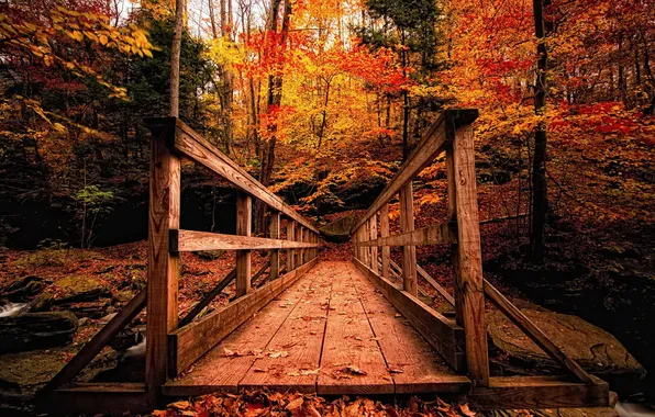 Autumn, bridge, Park