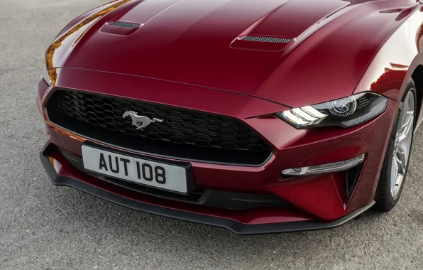 Ford, convertible, 2018, the front part, dark red, Mustang Convertible