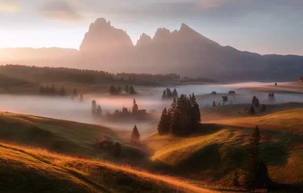 Picture light, fog, morning, Germany, the Alps