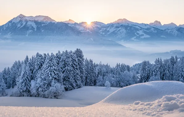 Winter, frost, forest, the sky, the sun, light, snow, mountains