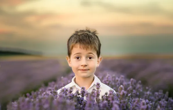 Picture field, flowers, nature, head, boy