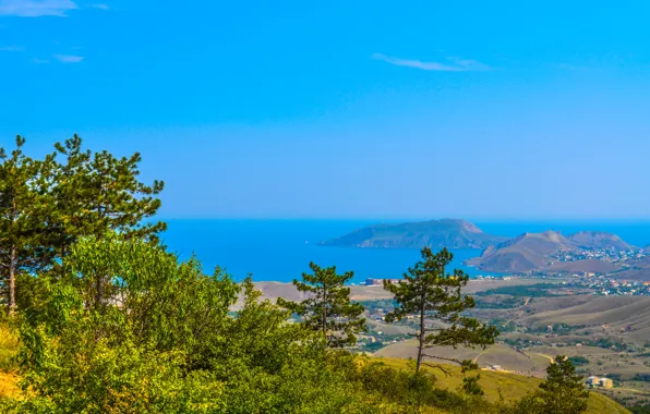 Picture summer, the sky, the sun, trees, landscapes, beautiful, hot, Crimea