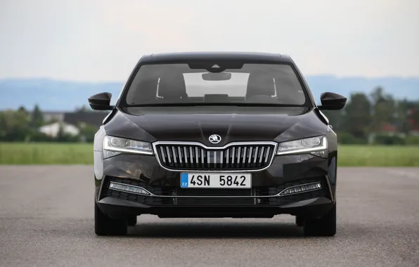 Picture sedan, front view, Skoda, Skoda, four-door, Superb, 2020, the color is a dark unfiltered beer