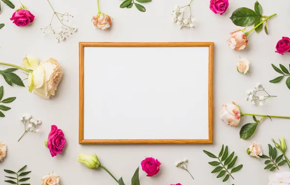 Flowers, roses, frame, leaves, decor, roses, frame