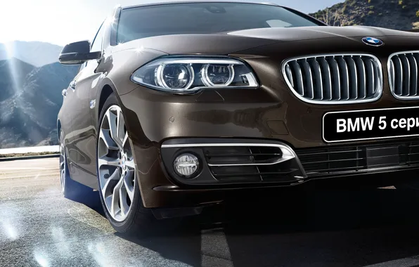 Picture BMW, BMW, 5 series, Touring, touring, F11, 2015