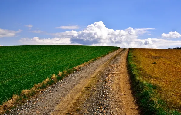 Picture road, field, the sky, landscape