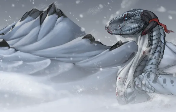 Picture cold, winter, mountains, in the snow, blood, wounded, white dragon