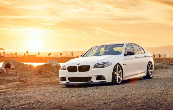 Picture white, BMW, BMW, white, wheels, F10, 550i, 5 series