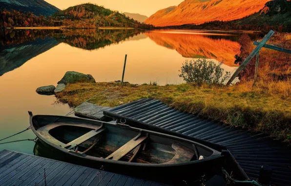 Picture forest, landscape, nature, boat, marina