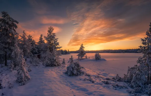 Picture snow, Norway, Norway, Ringerike, Mysterium Magnum