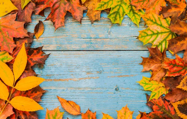 Autumn, leaves, background, Board, colorful, maple, wood, autumn