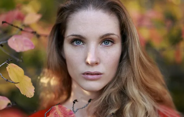 Picture autumn, look, leaves, girl, branches, face, portrait, makeup
