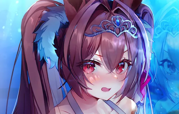 Girl, long hair, animal ears, anime, beautiful, red eyes, ponytail, pretty