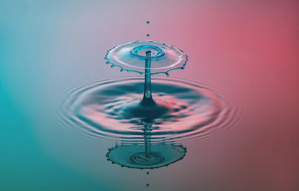 Picture water, macro, drop