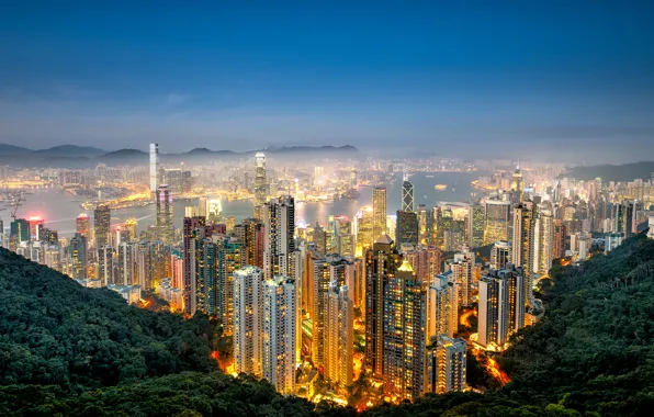 Forest, the sky, light, mountains, the city, lights, fog, lights