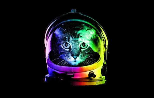 Minimalism, Cat, Helmet, Cat, Minimalism, Hat, Astrocat, Astrokot