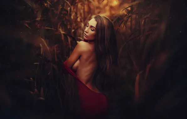 Ass, chest, dress, sponge, Nikolay Tikhomirov