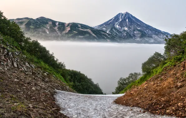 Picture trees, mountains, fog, stones, slope, Russia, Kamchatka