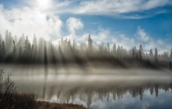 Picture light, fog, river, morning
