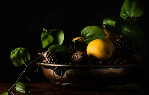 Branches, background, lemon