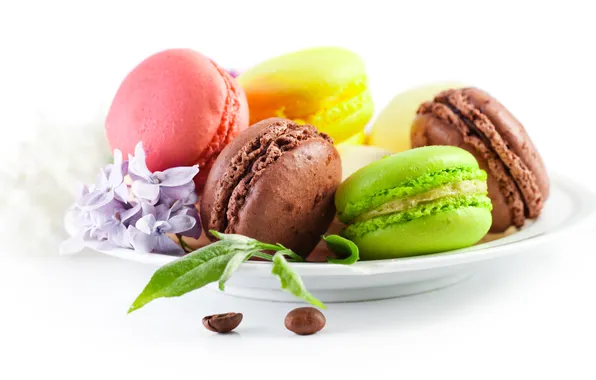 Picture the sweetness, flowers, coffee beans, cakes, Macaroon