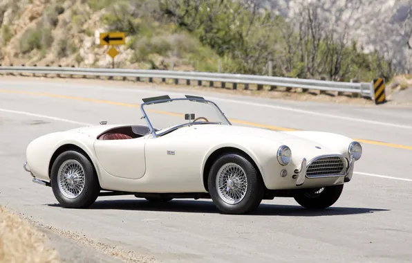 Picture road, Shelby, Cobra, supercar, the front, Cobra, 1963, Shelby