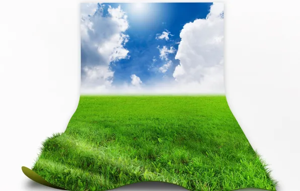 Picture the sky, grass, clouds, meadow, white background