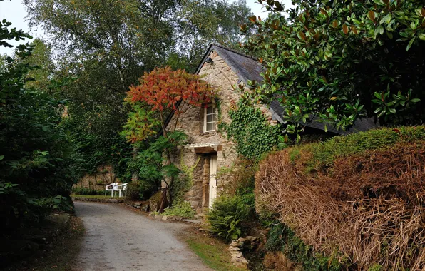 Road, trees, house, France, Brittany