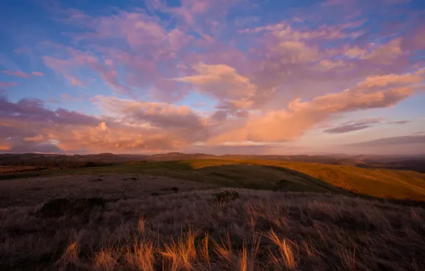 Field, autumn, grass, hills, the evening