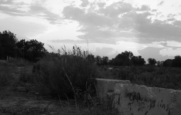 Field, the sky, grass, clouds, trees, black and white, plate, Russia