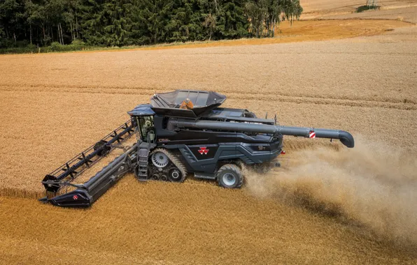 Picture Field, Dust, Wheat, 2018, Massey Ferguson, Grain, Harvester, Massey Ferguson Ideal 9T