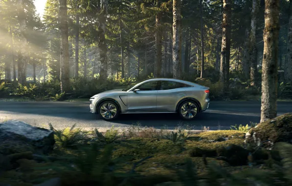 Side view, 2019, SF7, SF Motors, electrocreaser