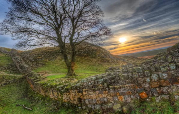 Picture the sky, grass, the sun, sunset, stones, wall, tree, hills