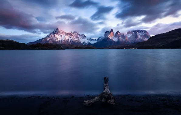 Mountains, shore, snag, pond, Andes, Patagonia