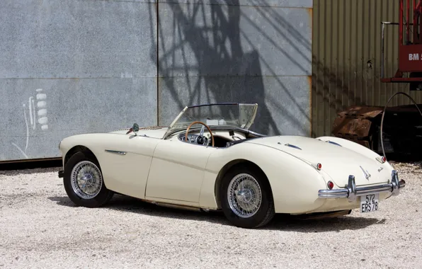 Roadster, The Mans, retro, Austin-Healey 100M