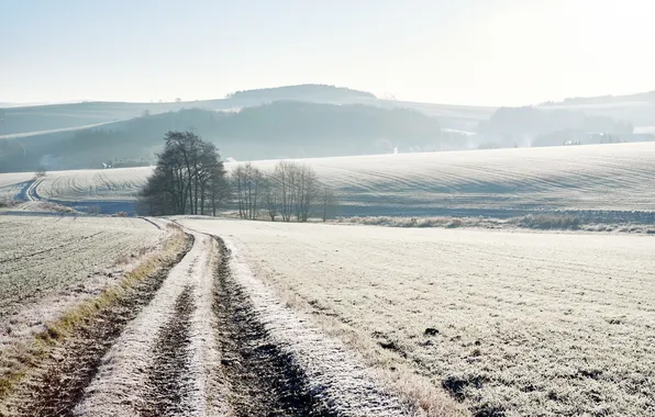 Winter, road, field, snow, morning