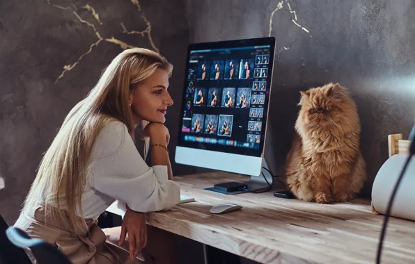 Cat, girl, monitor, mistress