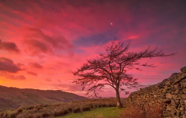 Picture clouds, trees, mountains, stones, the fence, England, glow, Cumbria